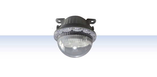 Explosion Proof Pendant Light